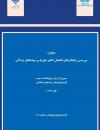 سوبازار اولین مرکز عرضه گزارشات بازار ایران