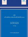 سوبازار اولین مرکز عرضه گزارشات بازار ایران